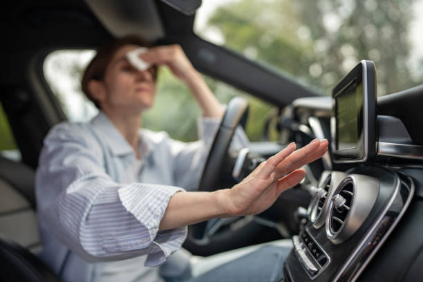 Best Central Air Repair  in Shady Hollow, TX